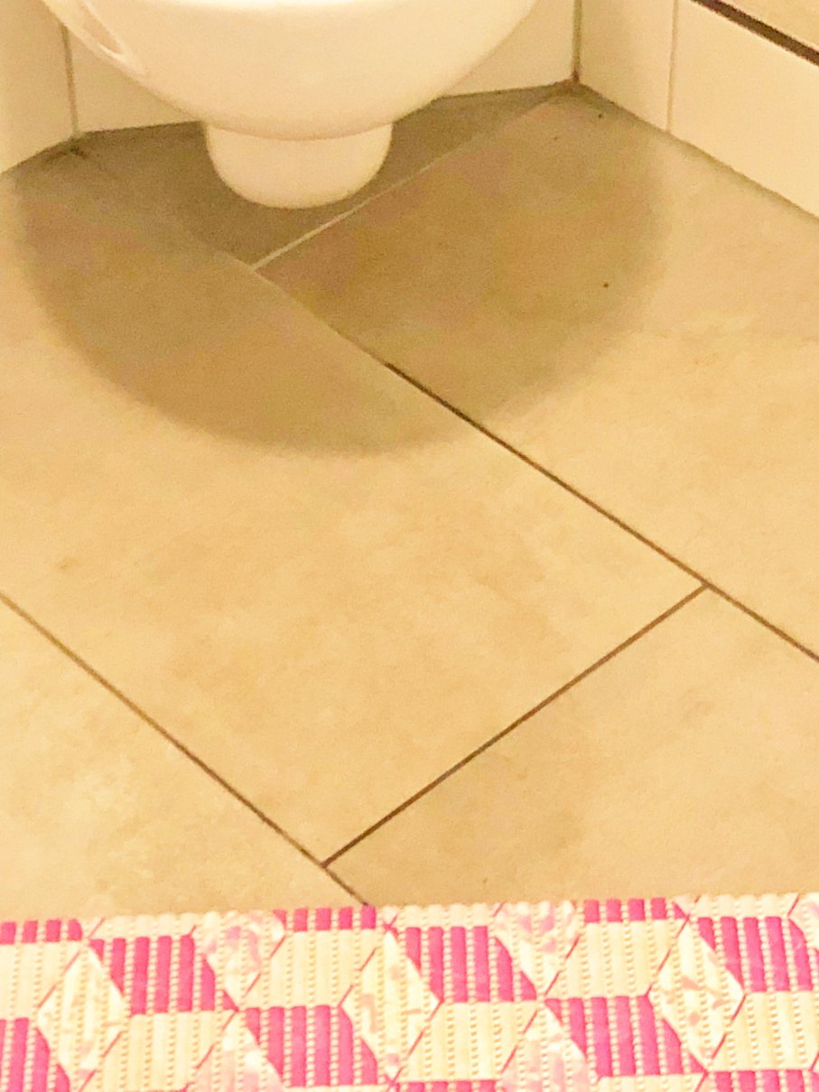 哥廷根盖斯特莉兹尔酒店-浴室