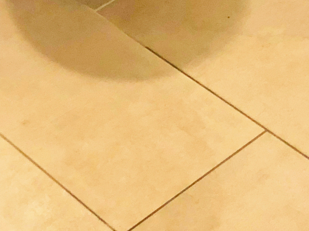 Gaeste-Liesel Goettingen主图