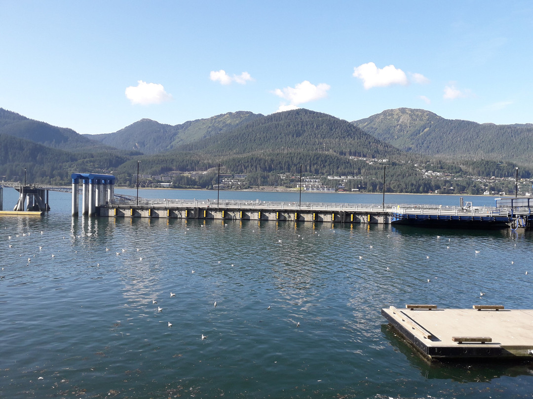 Tripp's Mt. Juneau Trading Post-朱诺必去景点