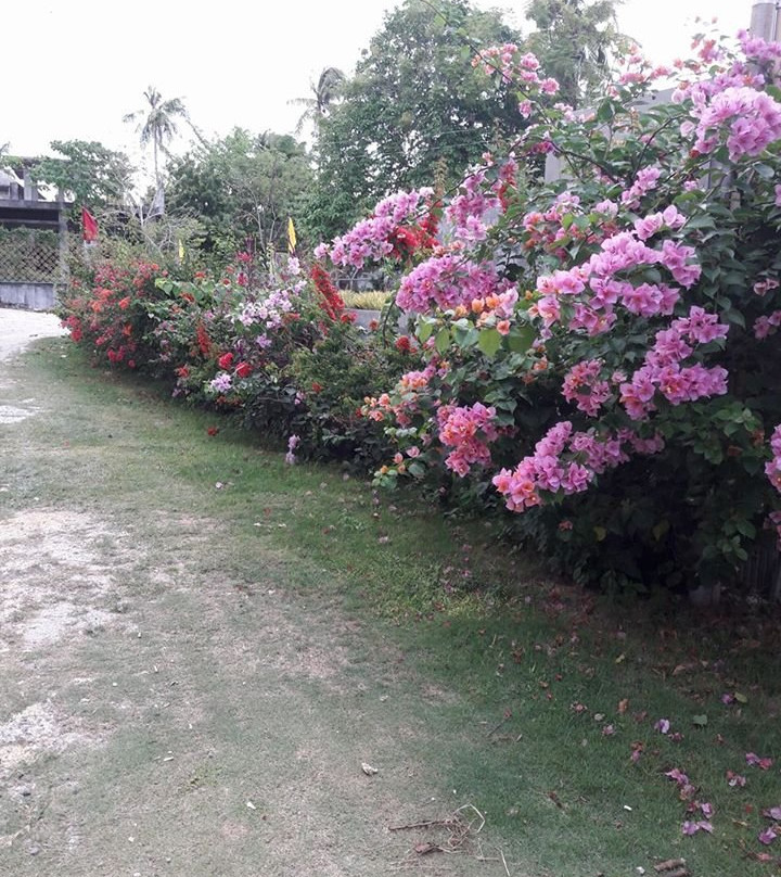 Stanley House Seaview主图