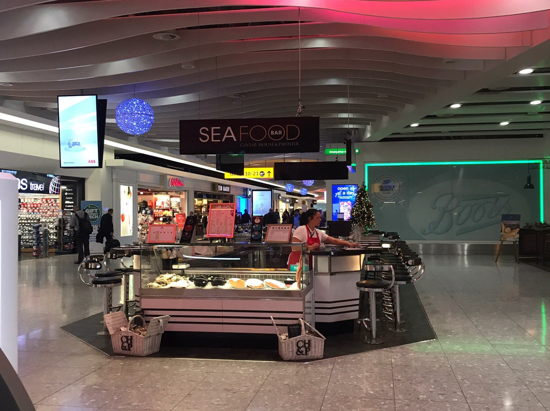 Minibus Heathrow Airport-伦敦必去景点