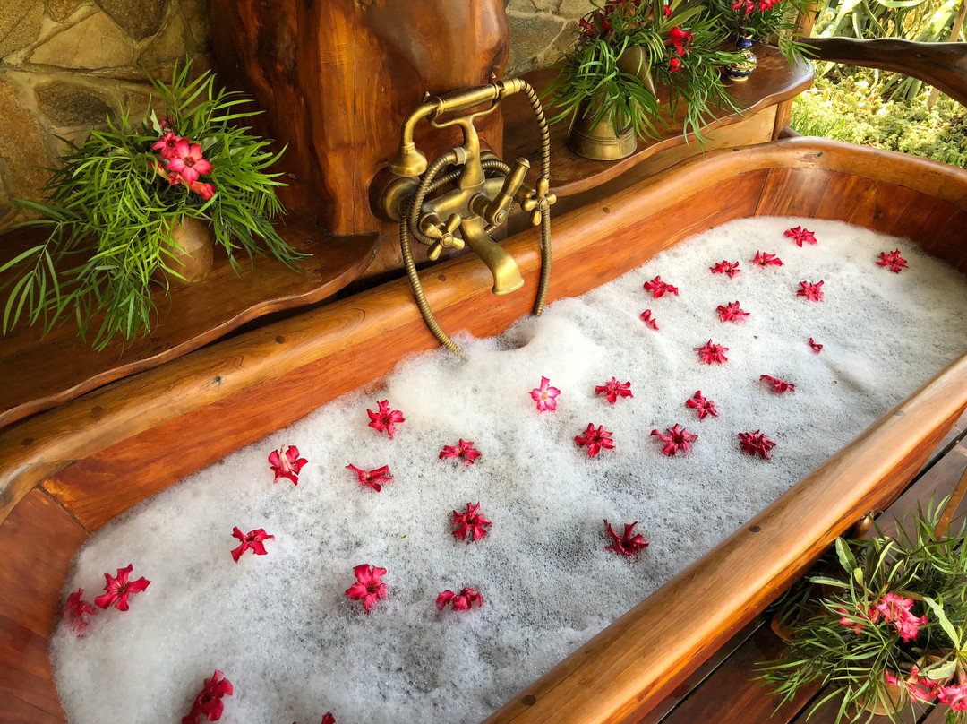 Desert Rose Kenya主图