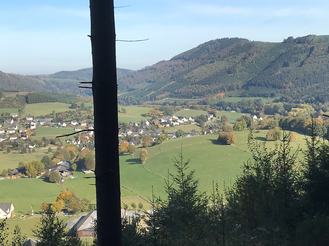 Landhotel Sauerlaender Hof主图