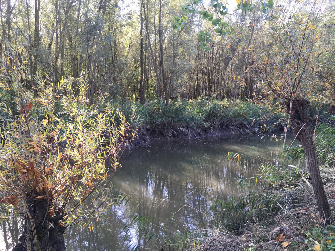 Rhoonse grienden-Rhoon必去景点