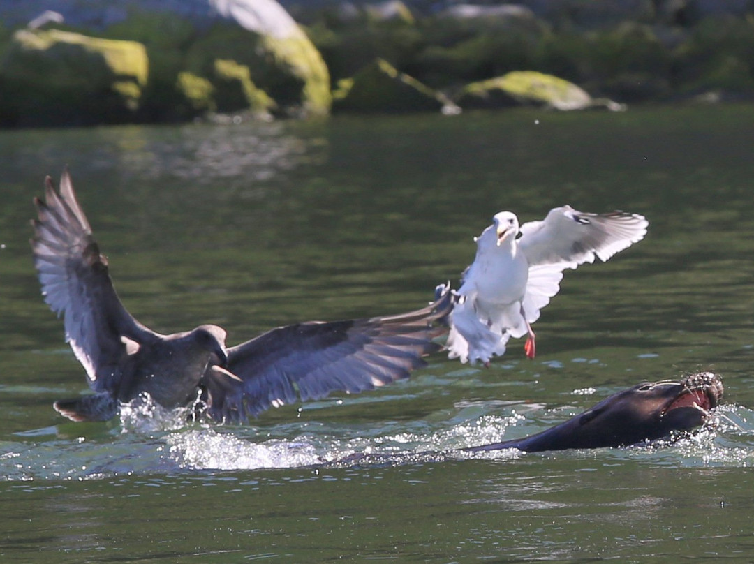 The Historic Requa Inn主图