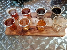 Bandicoot Brewing Pty Ltd景点图片