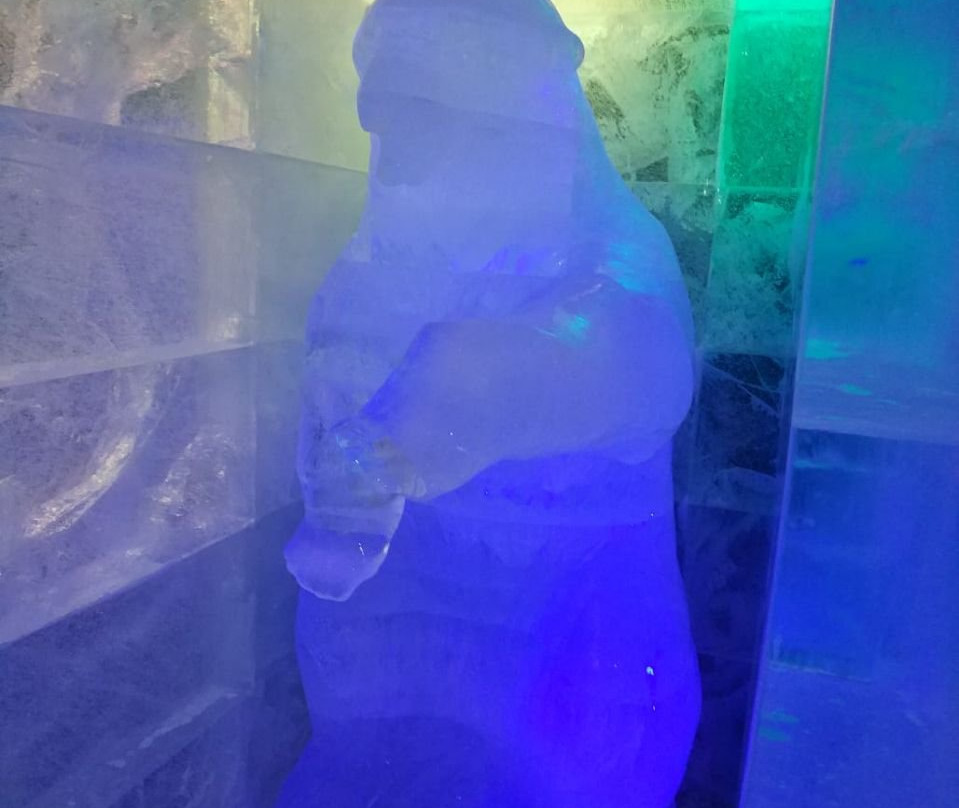 Magic Ice Bar Tromsø景点图片