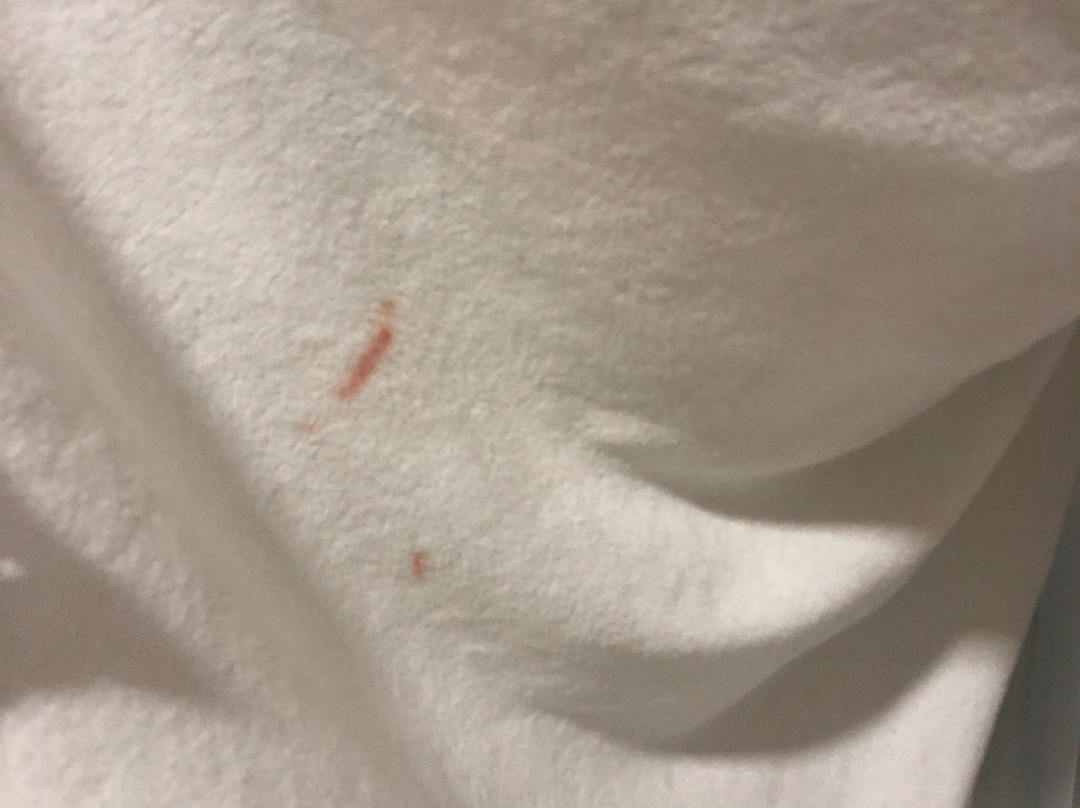 Eastpana Hotel主图