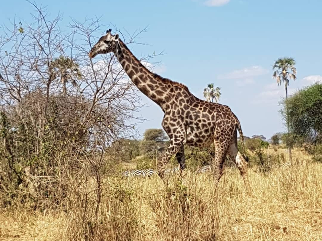 Golden Ice Expedition-莫西必去景点