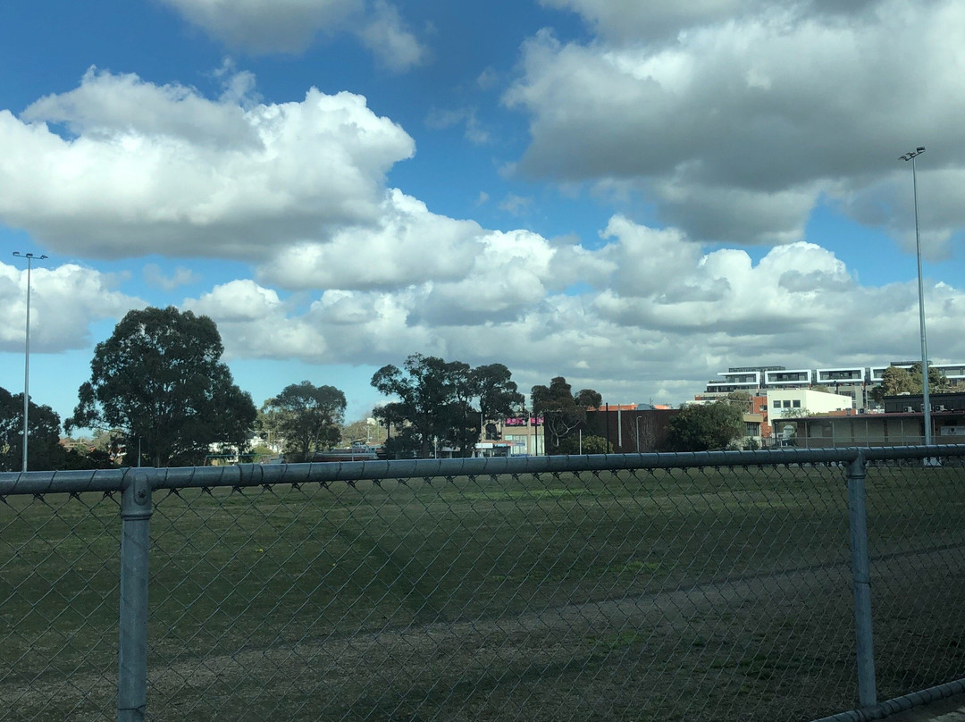 Doncaster Reserve景点图片