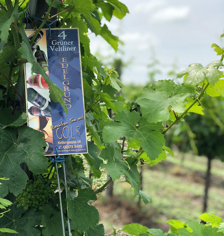 Weingut Wenzl-Kast-Gols必去景点