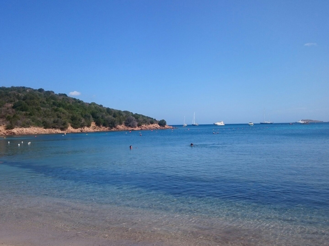 Spiaggia Porto Paglia-Arzachena必去景点