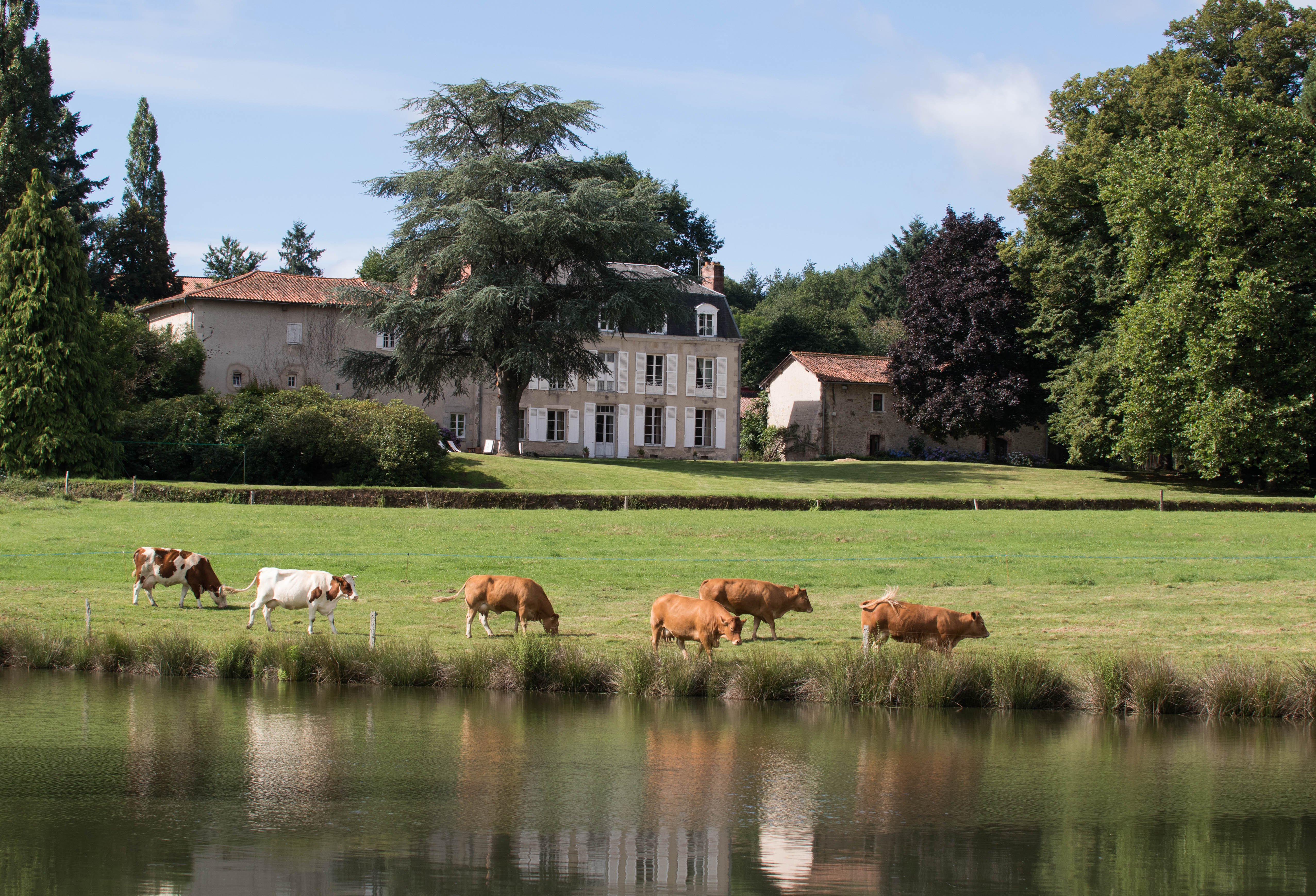 Masbareau, Demeure De Charme, B&B-官方