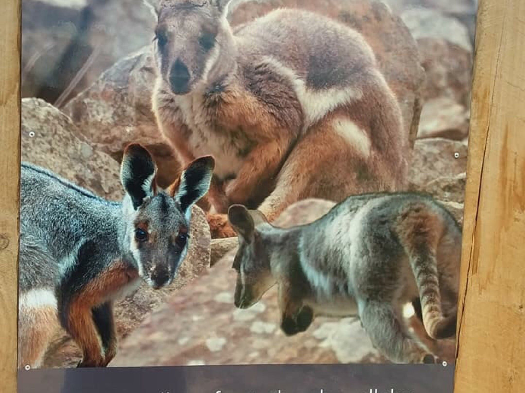 Telowie旅游攻略图片