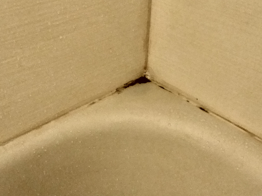 TownePlace Suites by Marriott Seattle Everett/Mukilteo主图