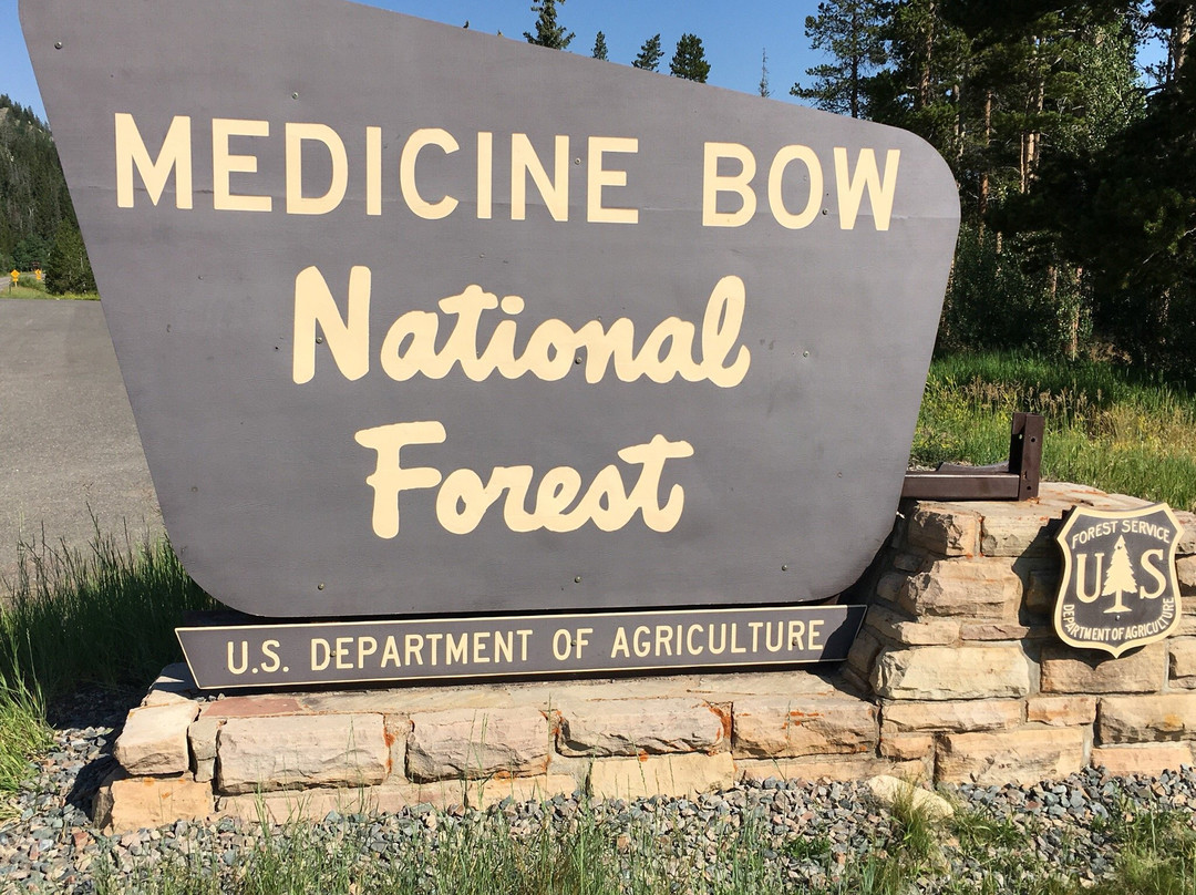 Medicine Bow National Forest景点图片