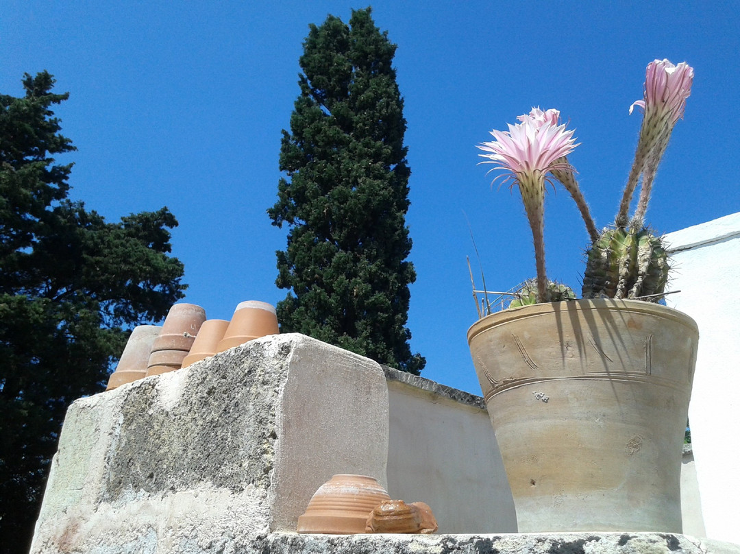 Masseria Delle Rose 1760主图