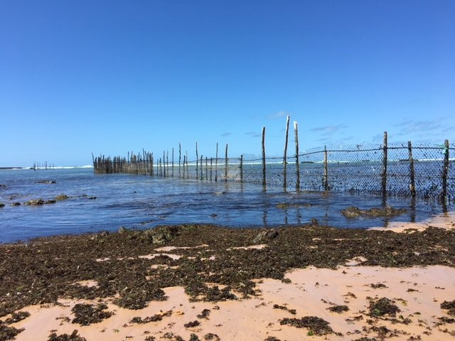 Flor de Lis Exclusive Hotel主图