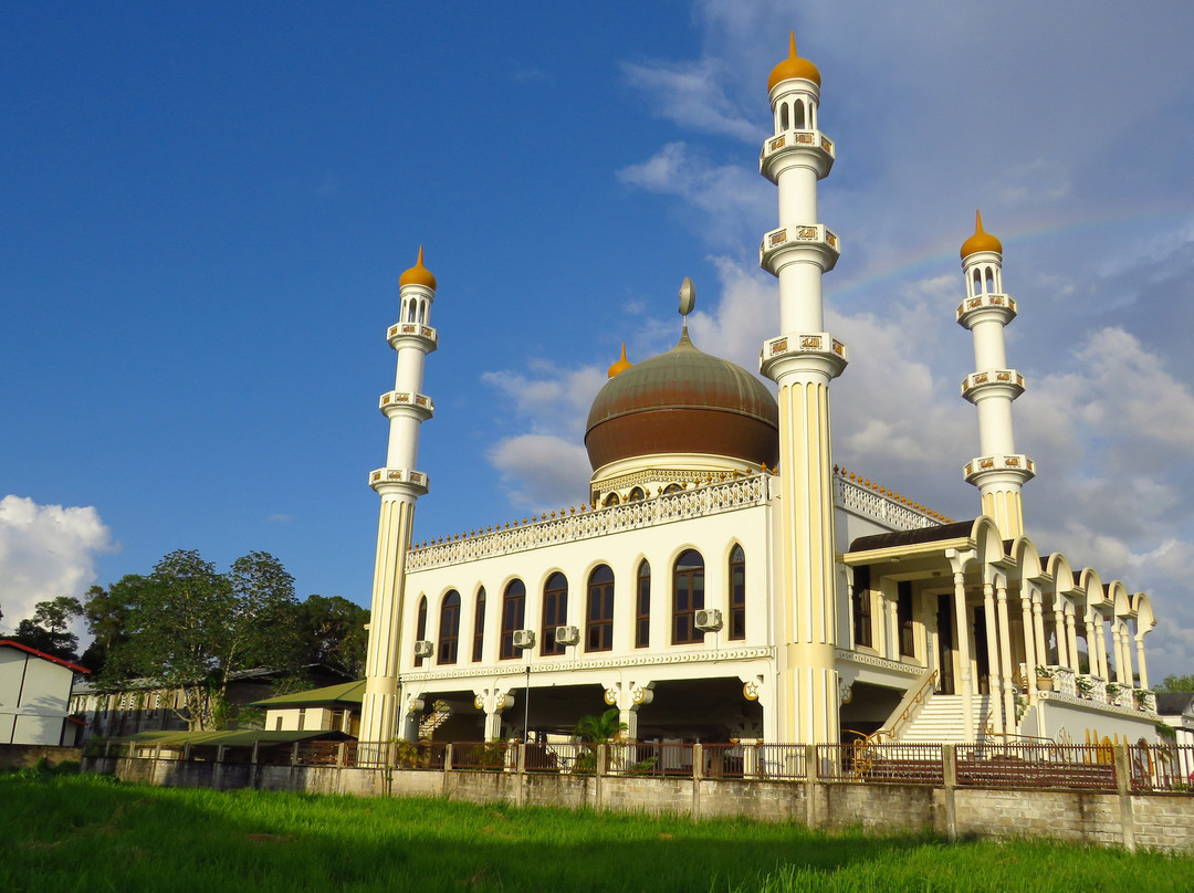 Suriname City Mosque景点图片