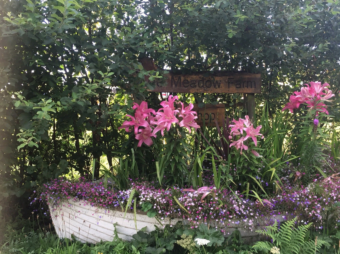 Lee Meadow Farm Camping