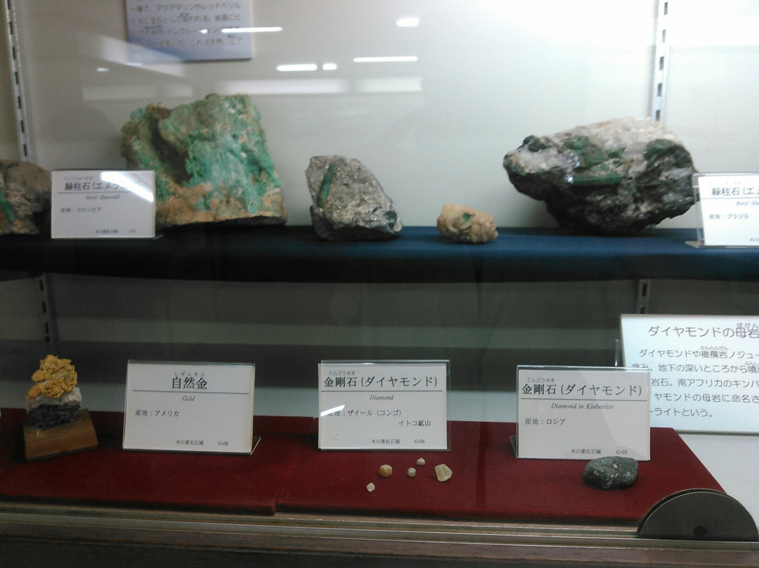Konoha Fossils Museum景点图片