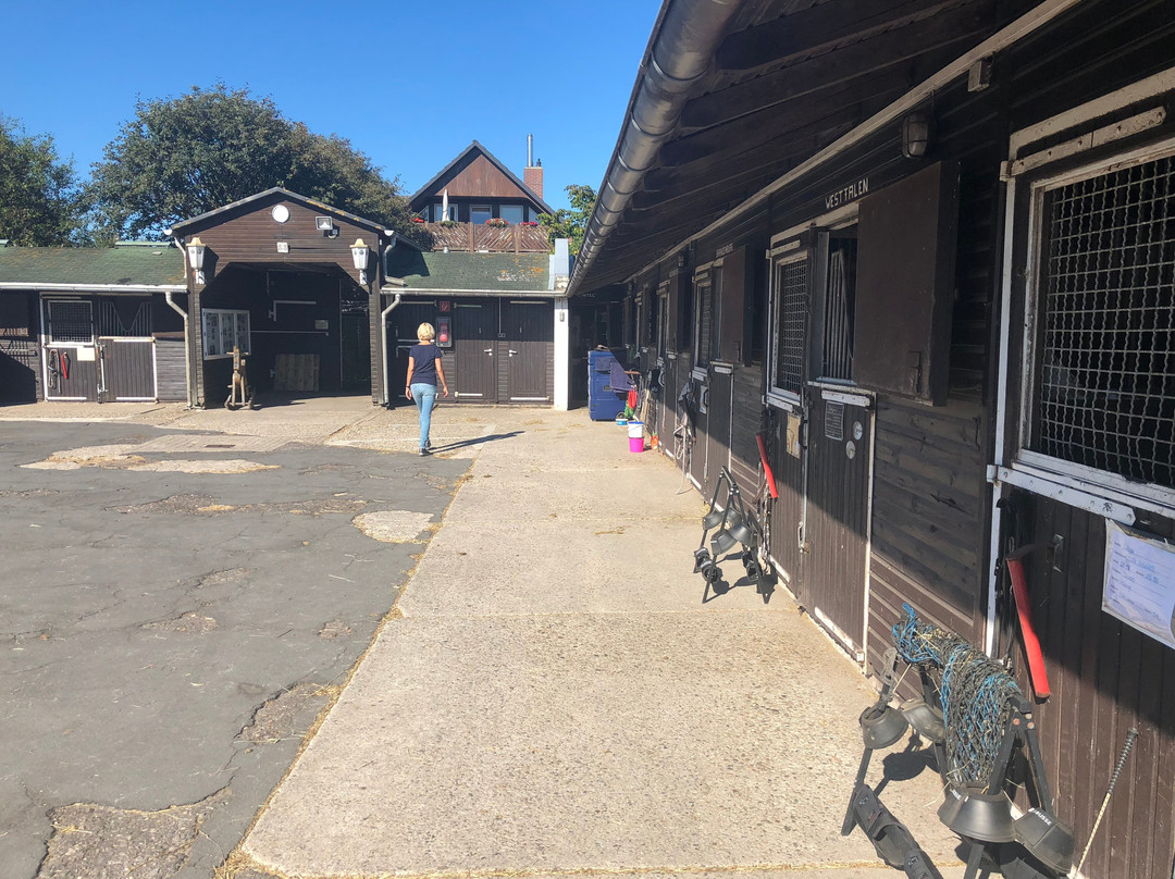 Reitschule Junkmann