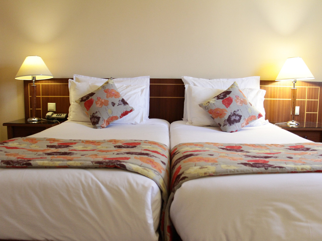 Hotel le Consul主图