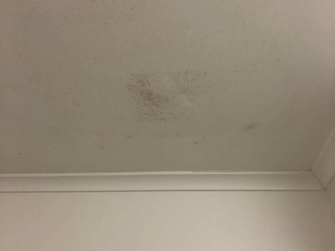 陶波湖畔小屋主图