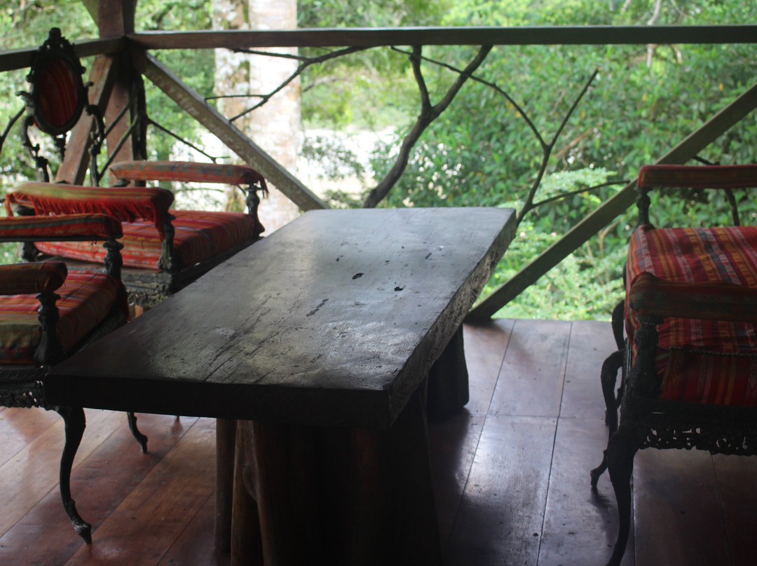 France Amazonia主图