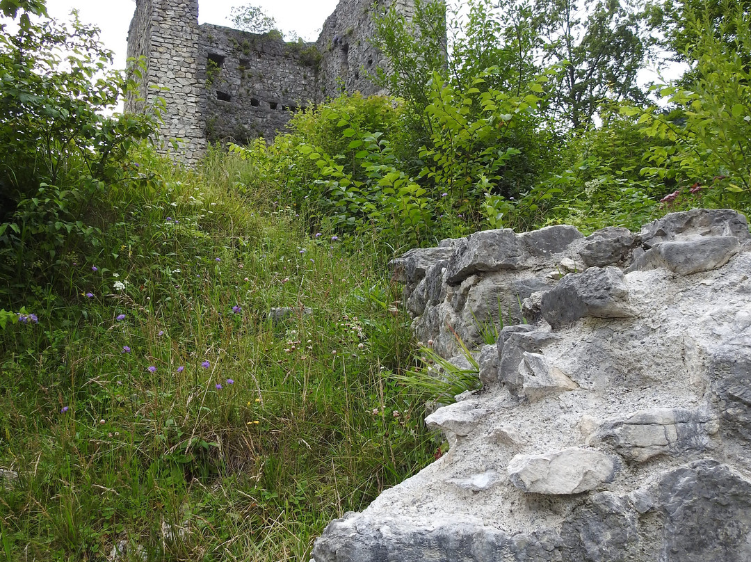 Burg Vilsegg景点图片