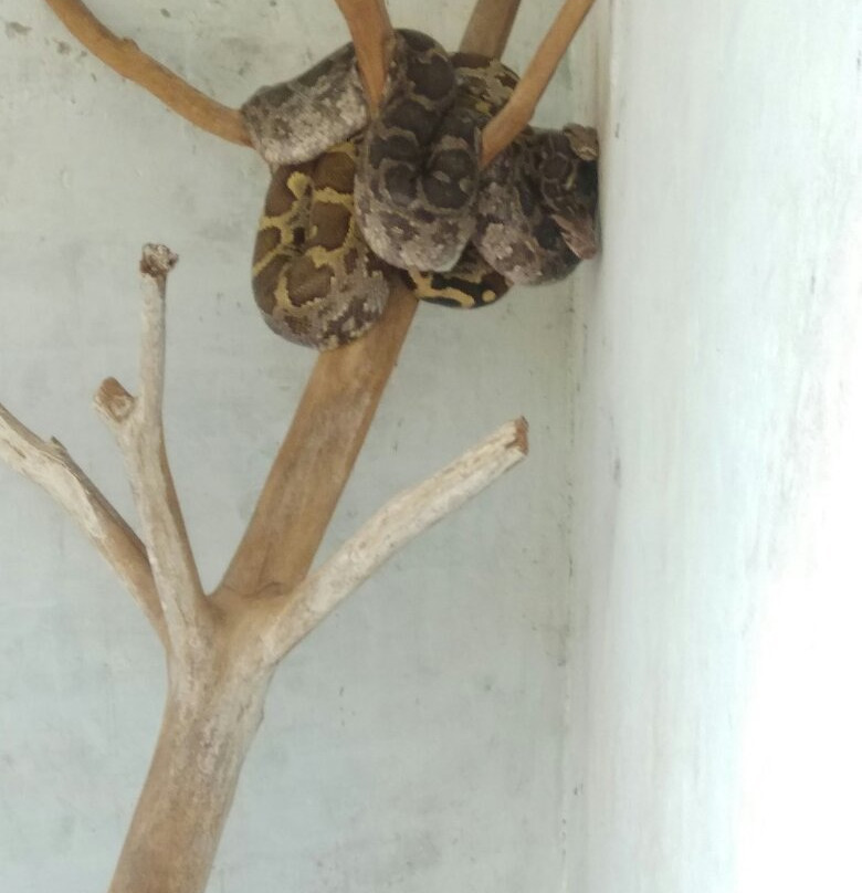 Gadag Zoo-Gadag必去景点