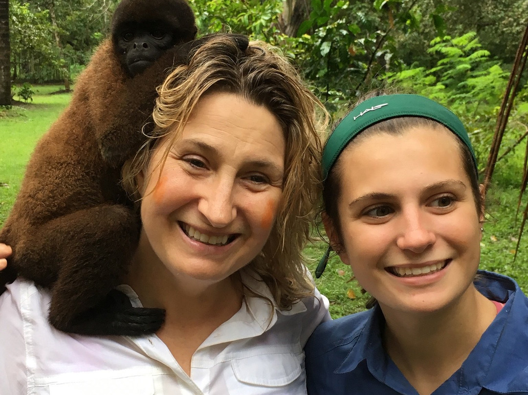 La Casa Fitzcarraldo主图