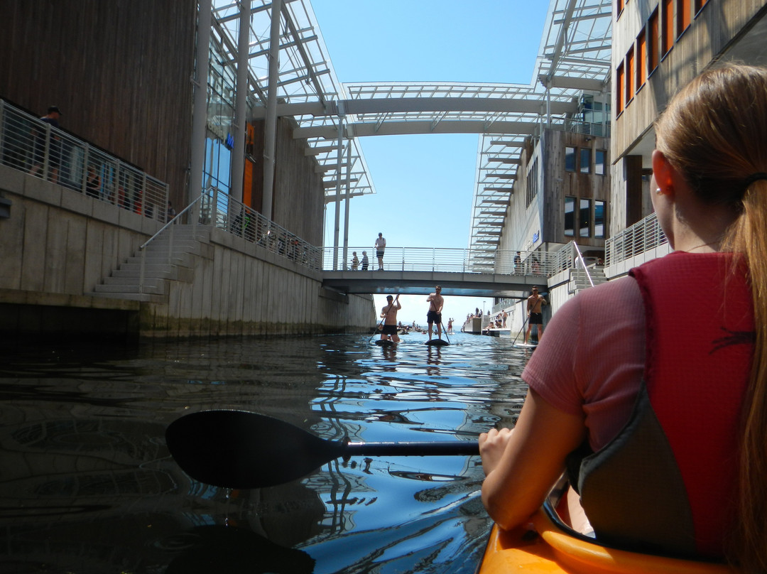Oslo Kayak Tours-奥斯陆必去景点