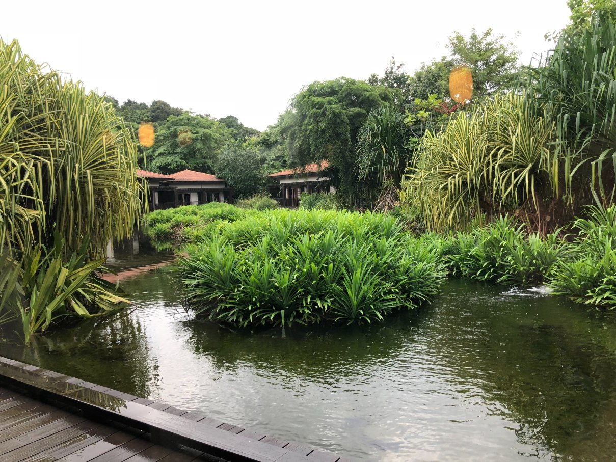 新加坡圣淘沙名胜世界-逸濠别墅-餐饮