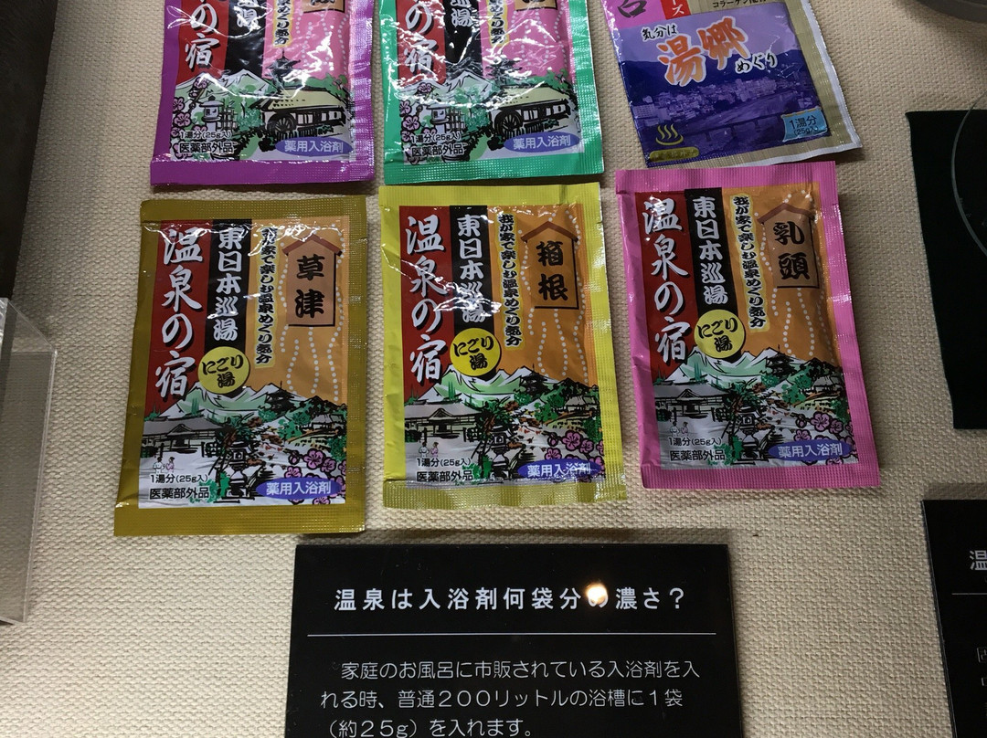 Gerohatsu Onsen Museum-下吕市必去景点