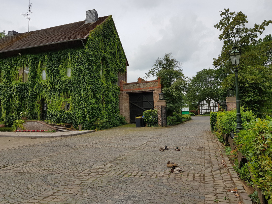 Golf Burg Konradsheim-Erftstadt必去景点