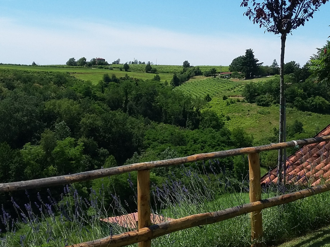 B&B Maggiora 131主图