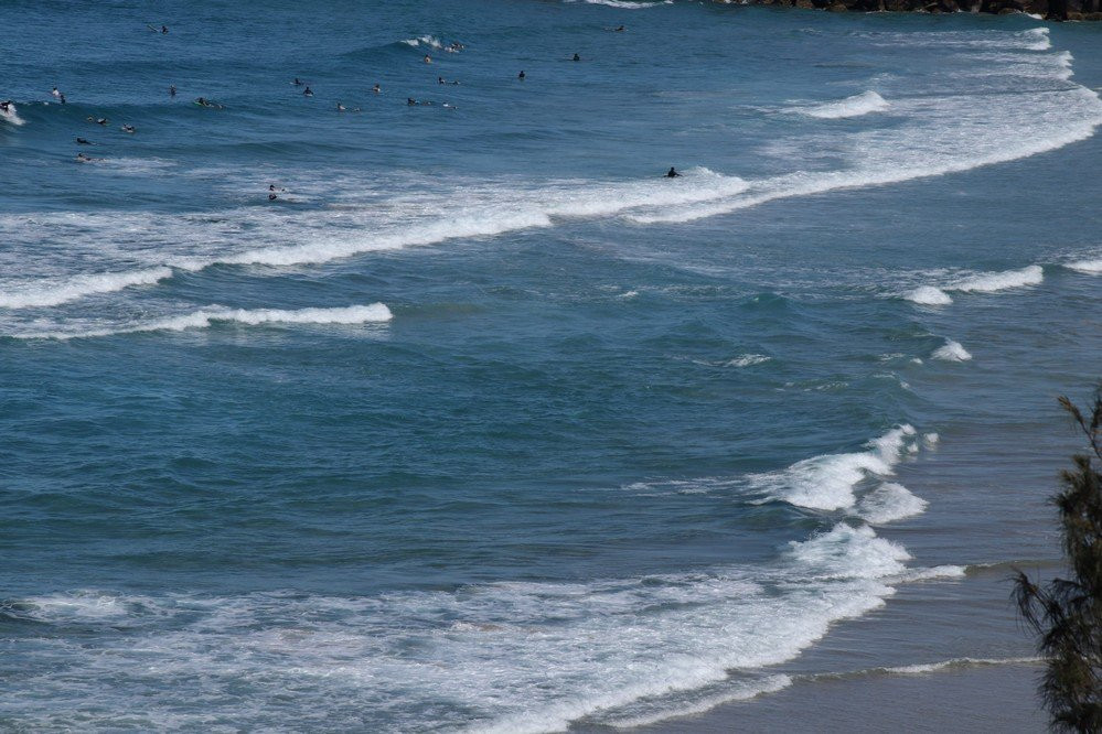 Flagstaff Beach-堤维德岬必去景点