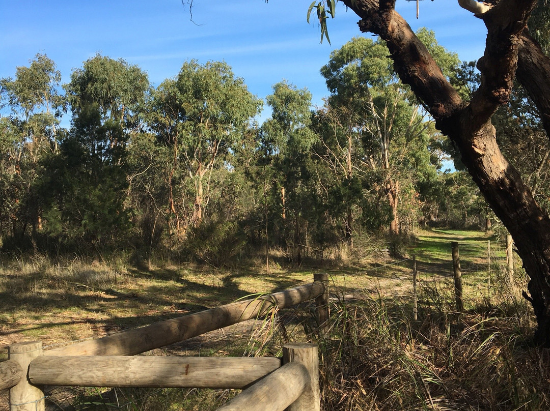 Fairbairn Bushland Reserve景点图片