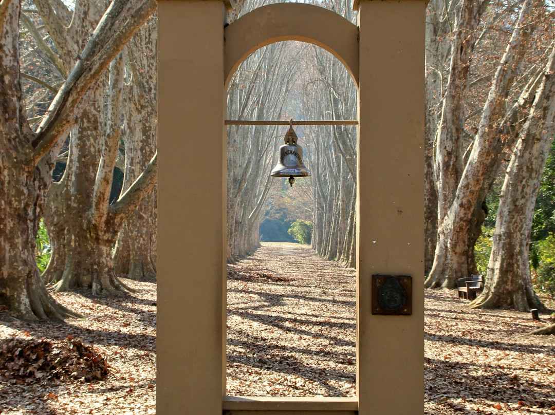 KwaZulu-Natal National Botanical Garden-彼得马里茨堡必去景点