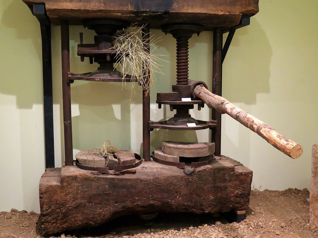 Museum of the Olive Tree景点图片