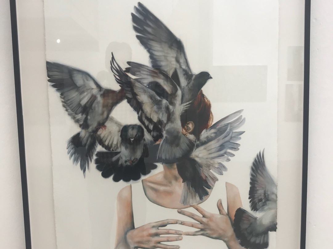 White River Gallery-白河必去景点