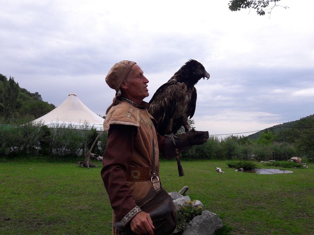 Falcon Farm Sunkar-阿拉木图必去景点