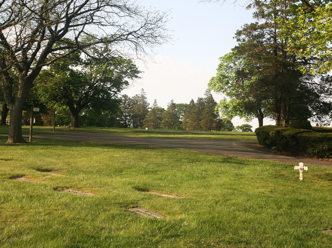 Forest Hills/Shalom Memorial Park景点图片
