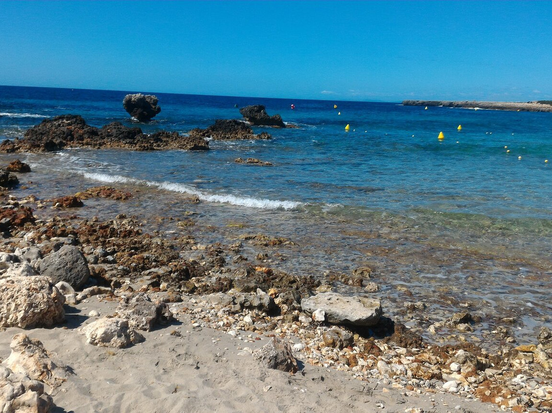 Playa Son Xoriguer景点图片