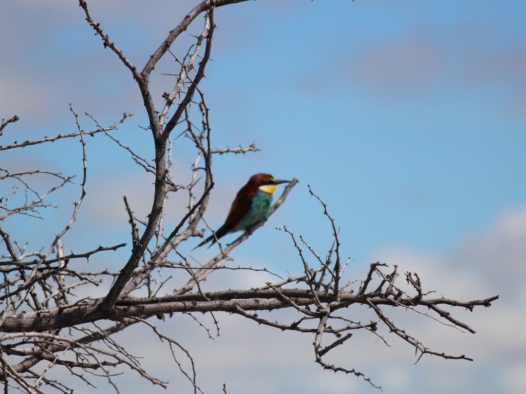 Zululand Explorers-圣露西亚必去景点