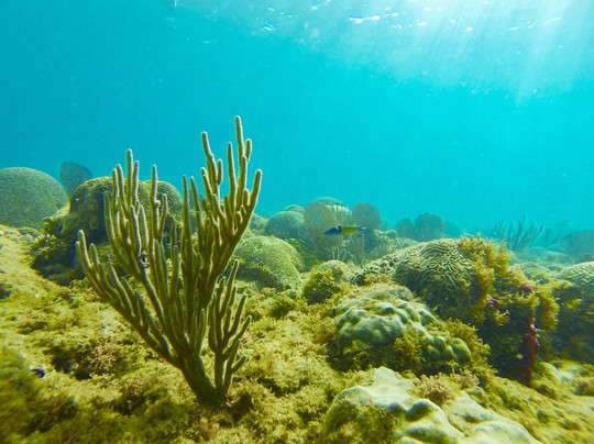 Great Escape Puerto Rico-吕康必去景点