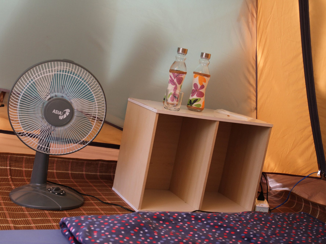 Ve Nha Homestay-Thanh Trieu必去景点