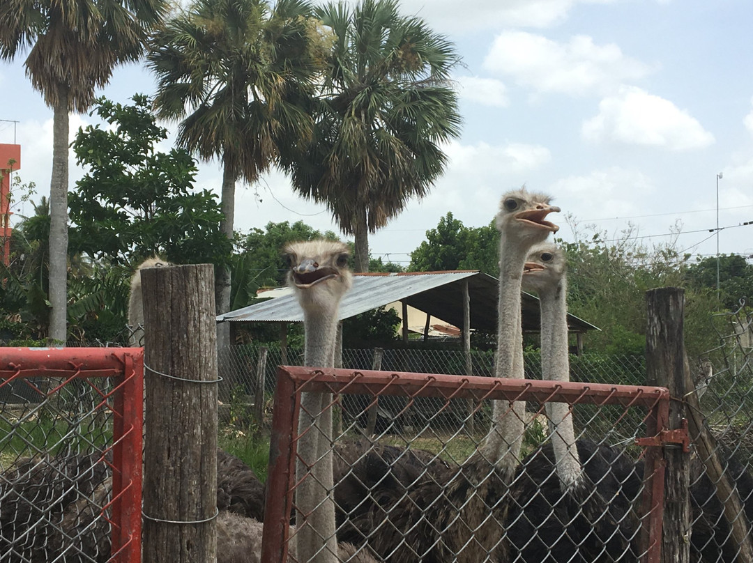 Parque Zoologico Gurabo-圣地亚哥必去景点