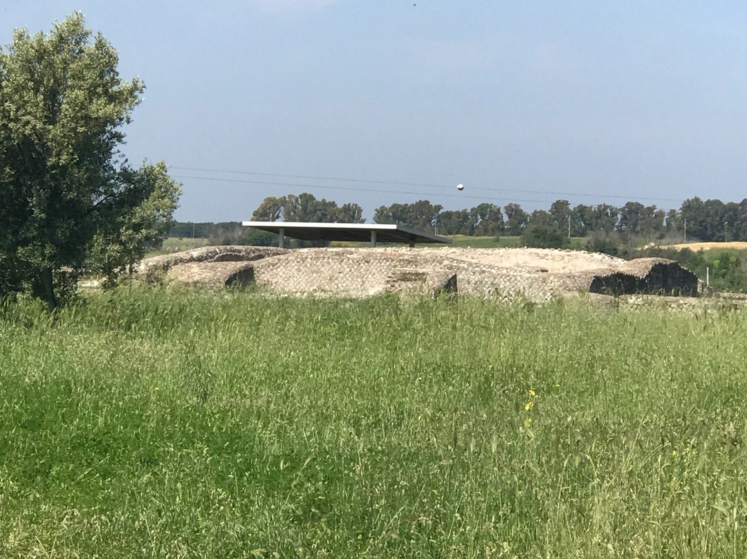 Oasi LIPU Castel di Guido-罗马必去景点